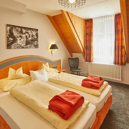 Ferien Residenz Bergfried 3* 힌터짤텐