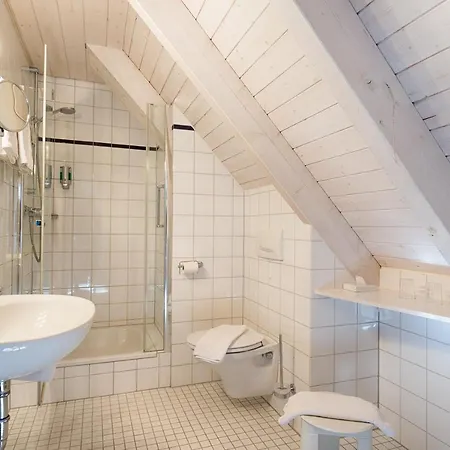 Hotel Ferien Residenz Bergfried Hinterzarten