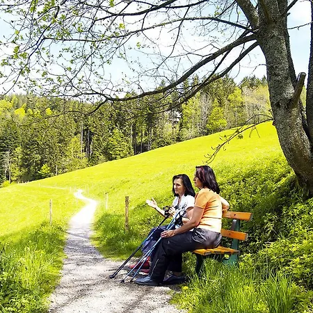 Hotel Ferien Residenz Bergfried Hinterzarten