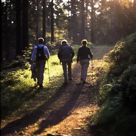 ホテル Ferien Residenz Bergfried