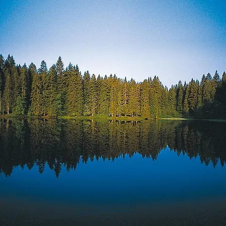 Hotel Ferien Residenz Bergfried 3*