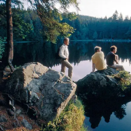 Ferien Residenz Bergfried Hinterzarten